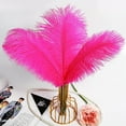 thumbnail image 5 of NOGIS Rose Red Ostrich Feathers 8-10inch(20-25cm) 20pcs Natural Feathers for Wedding Party Centerpieces Home Decorations Dream Catchers DIY Feathers, 5 of 7