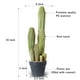 thumbnail image 2 of Cactus artificial, planta de interior, falso cactus grande, 60 cm, 2 of 8