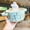 Green, variant on CHUNTIAN Cute Bunny Jumbo Ramen Bowl With Lid Kawaii Japanese Kitchen Tableware Ceramics Instant Noodles Fruit Salad Soup Bowl Gift 850ml