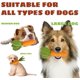 thumbnail image 5 of Dog Chew Toy, Carrot Dog Squeaky Toys for Aggressive Chewers, Natural Rubber Dog Teeth-Cleaning Toy for Puppy Small Medium, 5 of 5