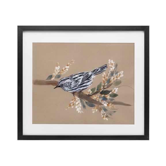 Stupell Industries Traditional Bird on Delicate Branch Black Framed Print Under Glass, 16 x 13, by Cady Driver