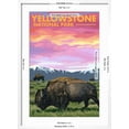 thumbnail image 5 of Art.com Yellowstone National Park - Bison and Sunset Art Print by Lantern Press, White Frame Wall Art, 21" x 29", 5 of 5