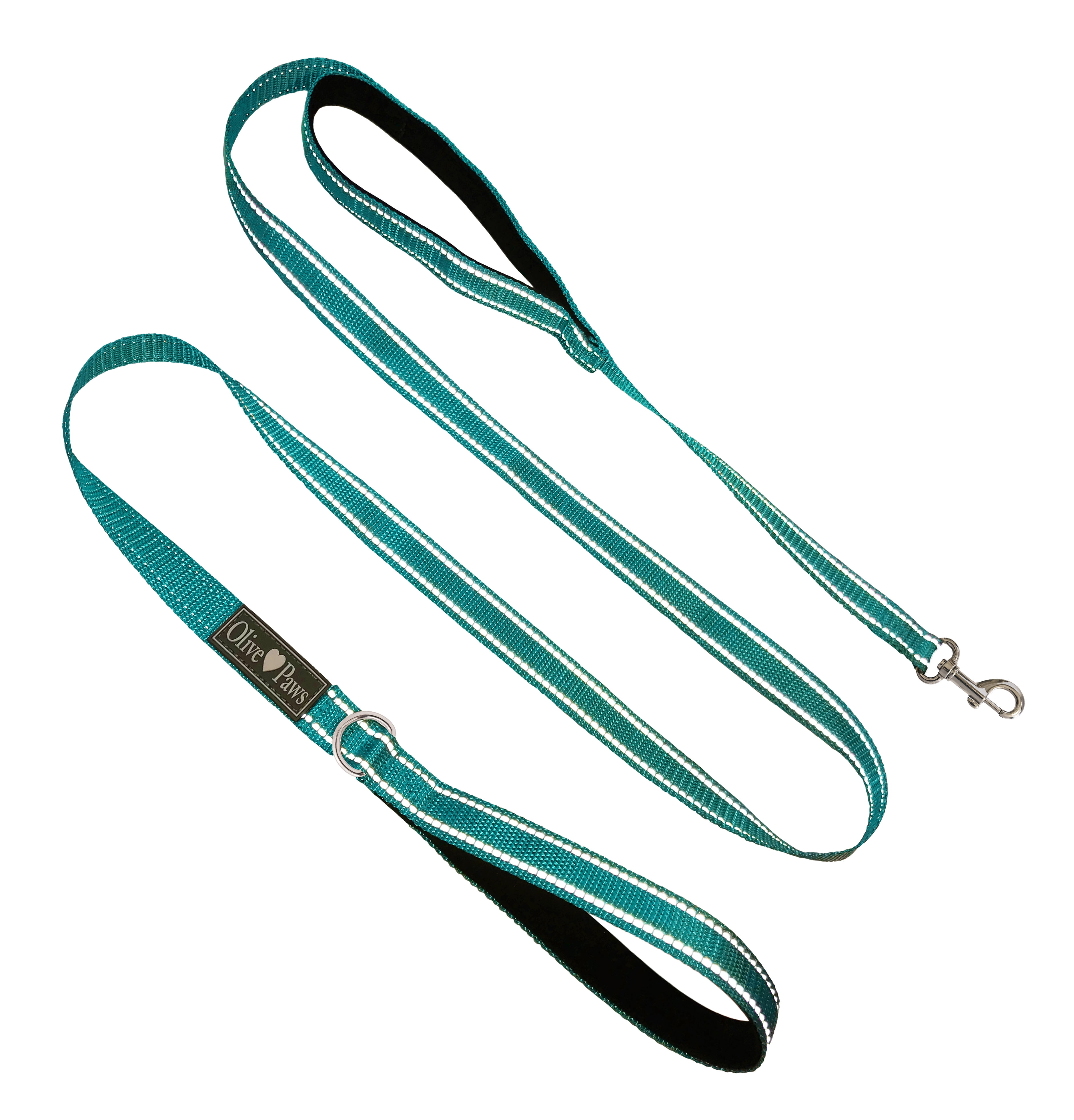 Olive Paws Dog Leashes for Medium Dogs, 6ft Dog Leash for Small Dogs