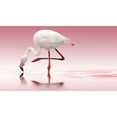thumbnail image 3 of 1x 24x15 Black Modern Framed Museum Art Print Titled - Reindl - Flamingo, 3 of 5