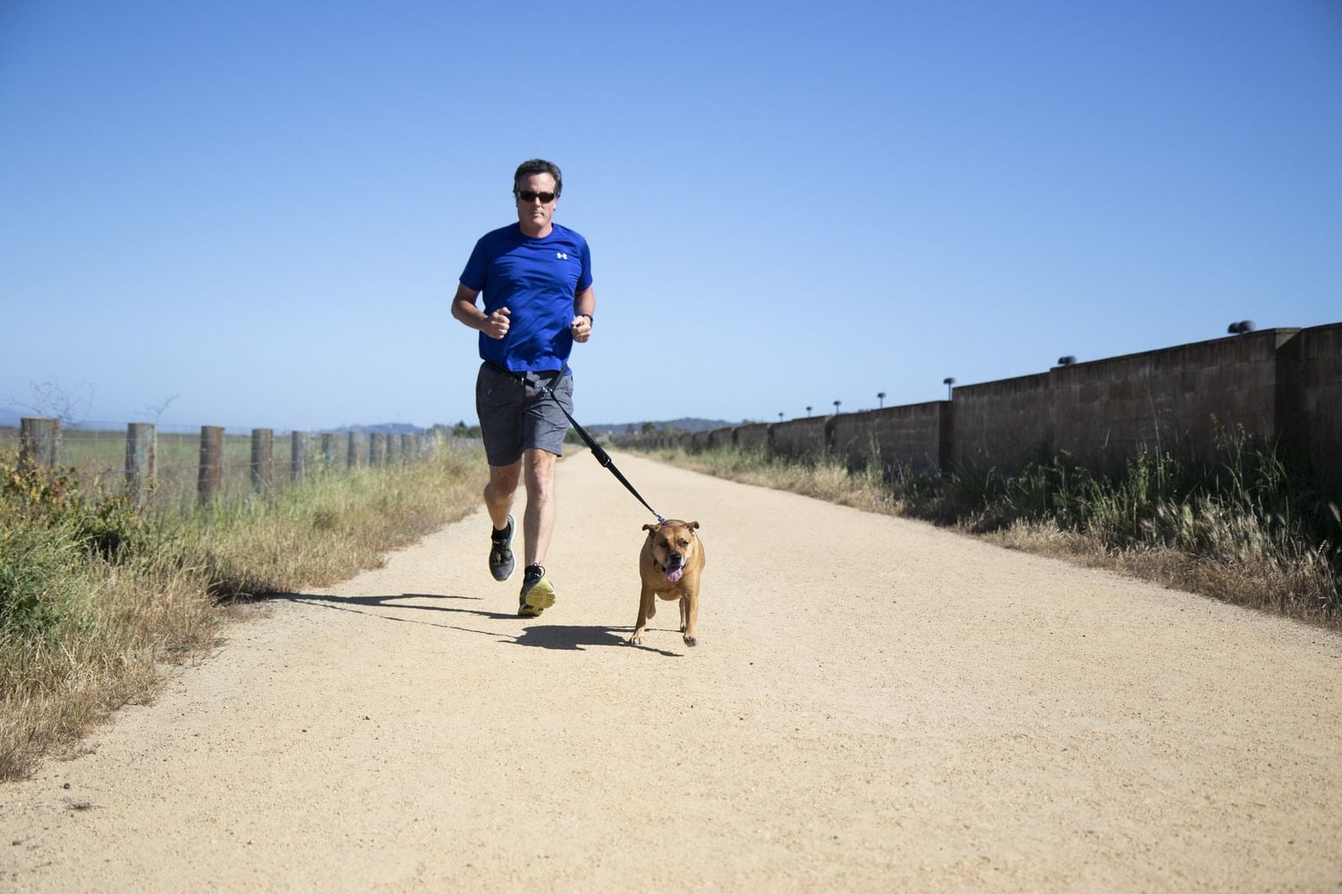 TrustyPup Laisse Six en 1, Noir