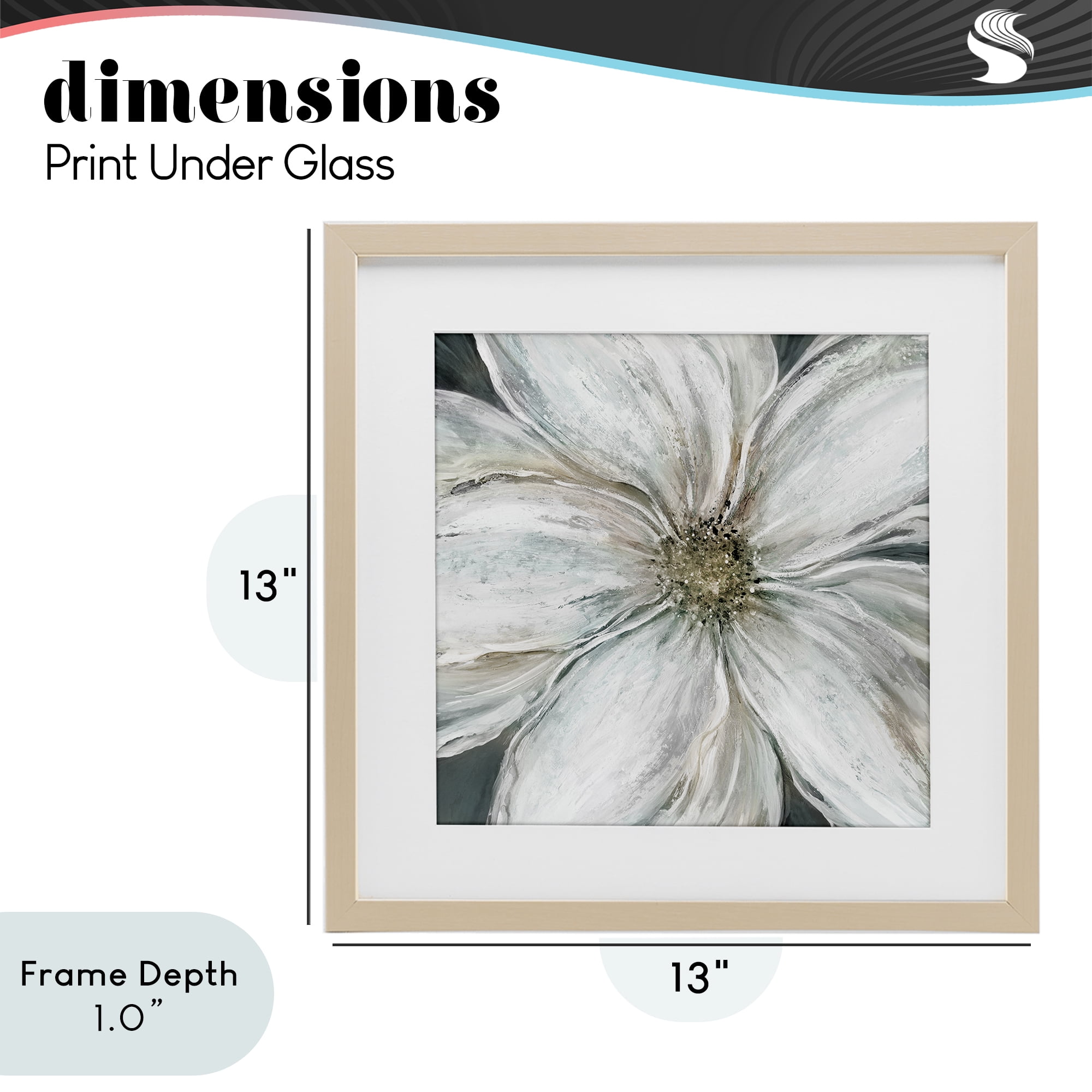 Stupell Industries Closeup Serene White Blossom Birch Framed Print Under Glass, design by Carol Robinson