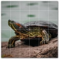 thumbnail image 1 of Picture-Tiles.com: Turtle Ceramic Tile Wall Mural WAL501048-66M. 36"W x 36"H using (36) 6" x 6" Ceramic Tiles-Satin Finish, 1 of 3
