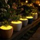 thumbnail image 4 of Pack de 200 de piedras de jardín que brillan en la oscuridad, piedras decorativas luminosas para senderos, paisajismo y decoración de acuarios para acuarios, 4 of 5
