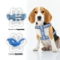 thumbnail image 4 of Kit Mascotas Perro Plato Accesorios Paseo Azul Importadora La Merced Altamente Resistente, 4 of 5