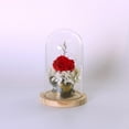 thumbnail image 4 of Glass Cloche, Plant Terrarium Dome, Flower Vase Display Case with , Table Centerpiece Dome , L, 4 of 9