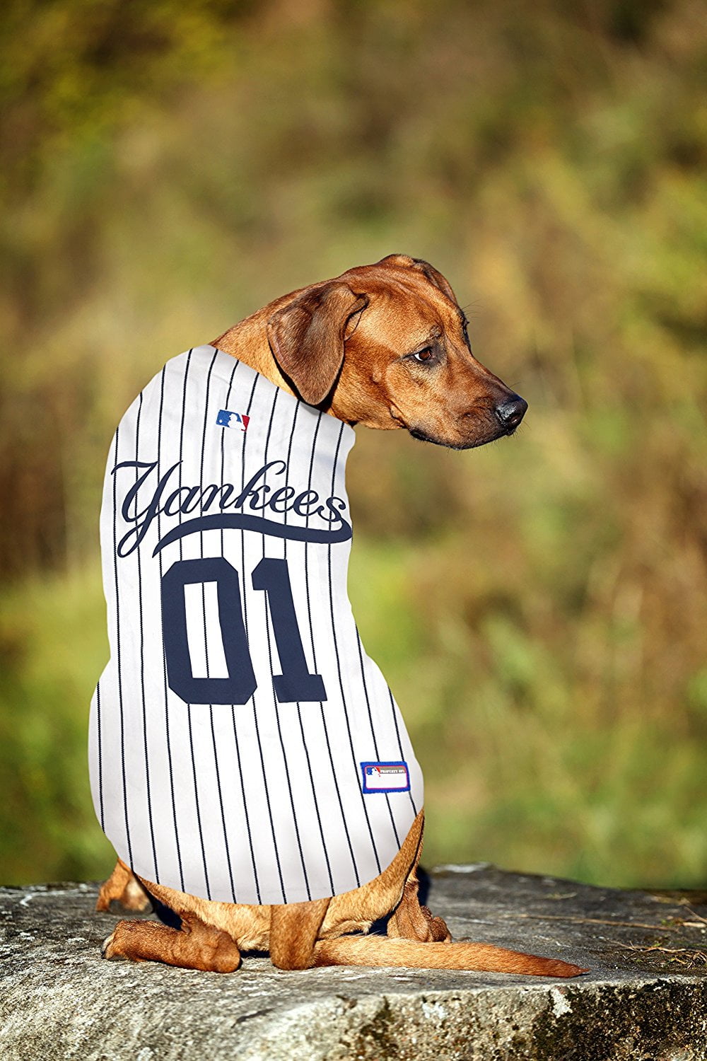  Pets First MLB New York Yankees Reversible T-Shirt, Large for  Dogs & Cats. A Pet Shirt with The Team Logo That Comes with 2 Designs;  Stripe Tee Shirt on one