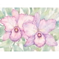 thumbnail image 2 of OToole, Tim 32x25 White Modern Wood Framed Museum Art Print Titled - Tropical Orchid Watercolor I, 2 of 4