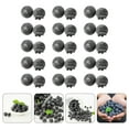 thumbnail image 4 of 30pcs Fake Blueberry Lifelike Blueberries Simulation Blue Berries Kitchen Fake Fruits, 4 of 9