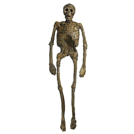 Full Body Rotten Skeleton