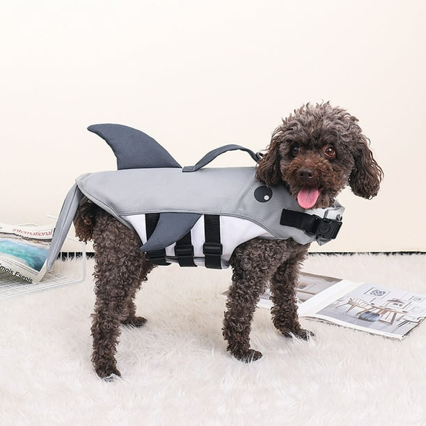 Shark dog deals life jacket