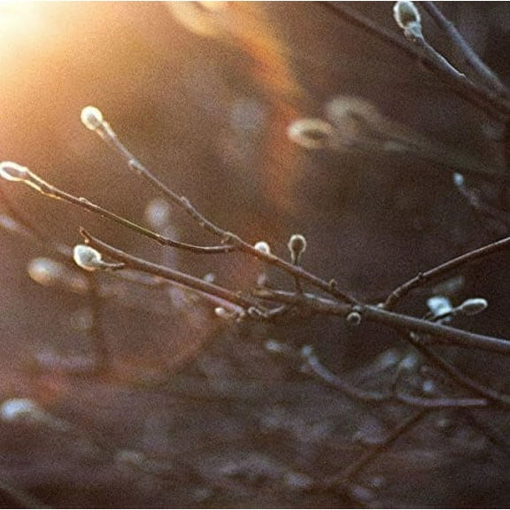 English Ghosts (Vinyl)