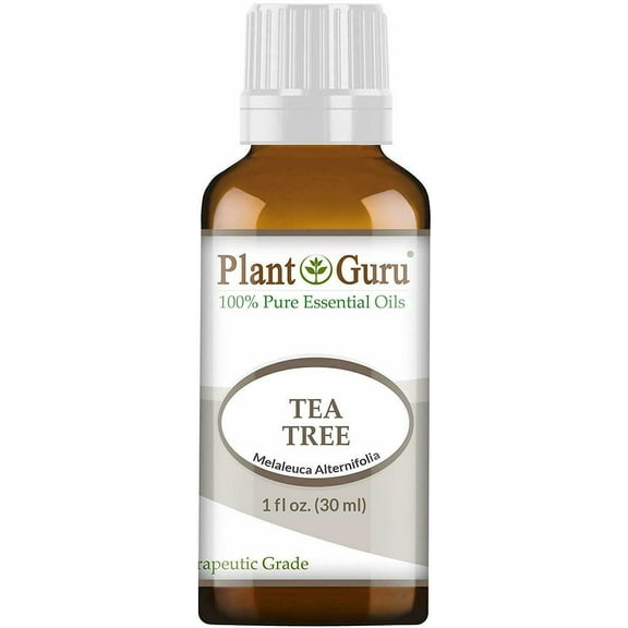 Tea Tree Essential Oil 30 ml. 100% Pure Natural Undiluted Therapeutic Grade Extract of Melaleuca Alternifolia For Skin, Body, Hair Growth, Scalp Dandruff, Acne and Aromatherapy Diffuser Humidifier
