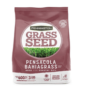 Bahia Grass Seed Florida
