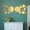 Dark Gold, variant on Nvzi Wall Mirror, 26 PCS Acrylic Mirror Stick on Mirrors for Wall, Removable Peel and Stick Wall Decals for Home Living Room Bedroom (Dark Gold)