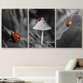 thumbnail image 2 of wall26 3 Panel Canvas Wall Art - Selective Color Photo of The Red Ladybug - Giclee Print Gallery Wrap Modern Home Art Ready to Hang - 16"x24" x 3 Panels, 2 of 5