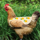 thumbnail image 5 of Delantal de silla de montar de gallina Protector de plumas Protector de espalda Delantal de silla de montar de pollo MFZFUKR CPB-US-DYP481-6, 5 of 5