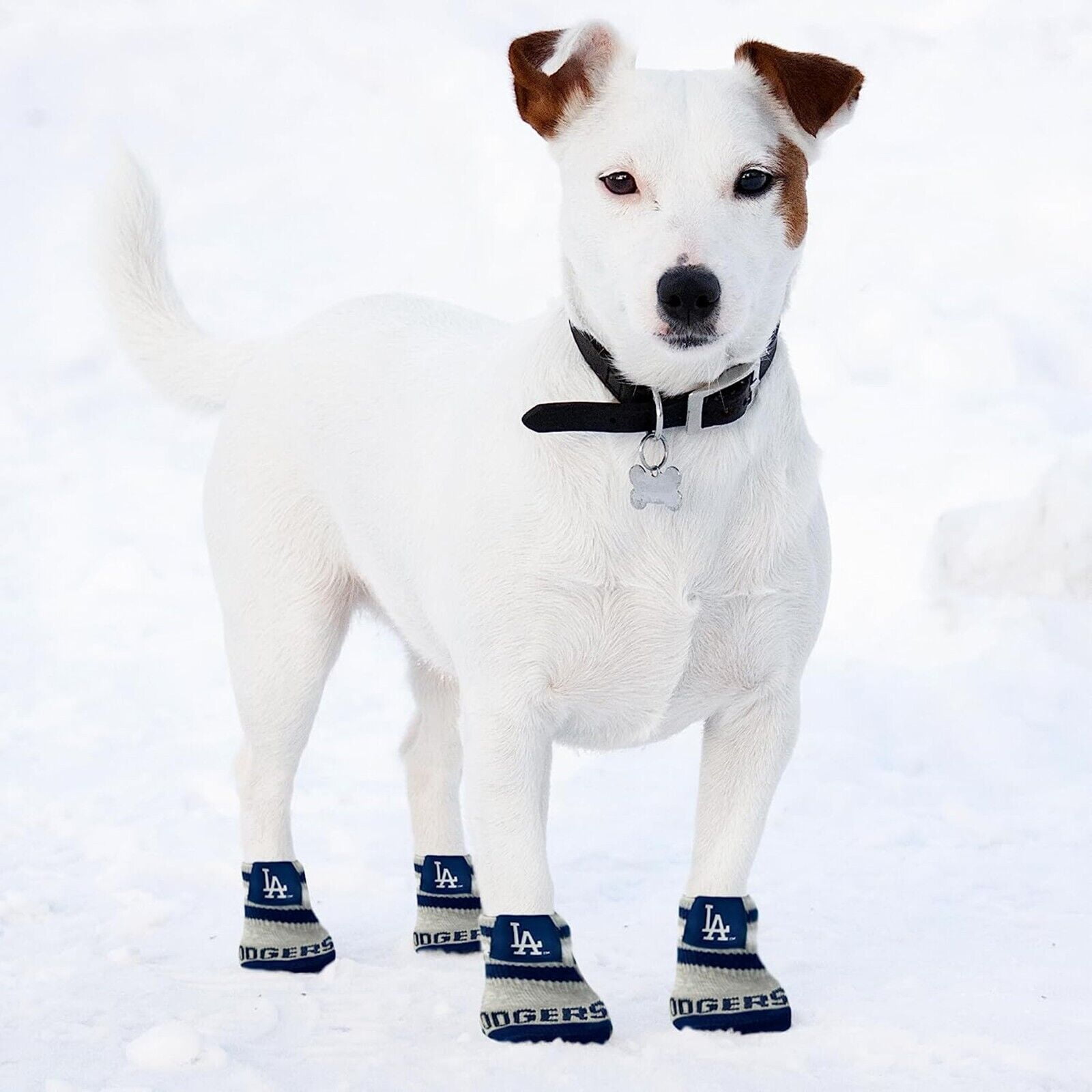 Pets First MLB Houston Astros Anti Slip Pet Dog Socks, Elastic Ribbed Top, Medium/Large Pair Paw Protector