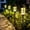 Warm White, variant on SOLPEX Solar Lights for Outside, Solar Outdoor Pathway Garden Lights Waterproof, Solar Powered Landscape Lighting for Yard, Garden, Pathway, Patio, Porch, Walkway, Driveway, 8 Pack(Cold White)