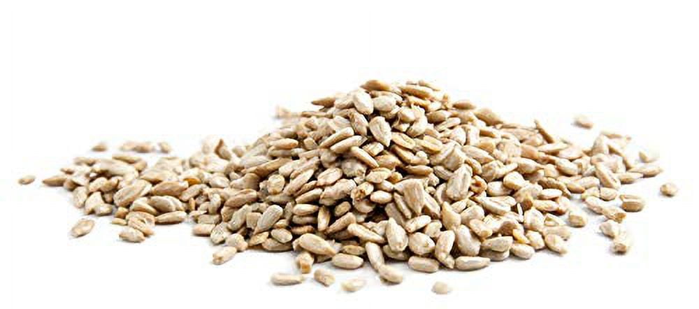 Good Sense Roasted & Salted Shelled Sunflower Seeds (Pack of 10)
