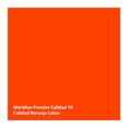 thumbnail image 2 of Pintura Meridian Premier 10 Años Naranja Colon 4 Litros, 2 of 3