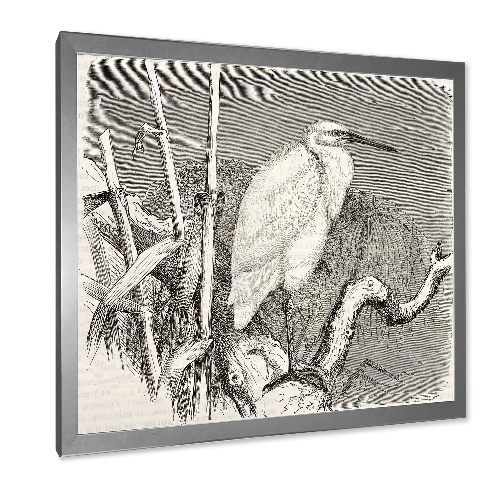 Designart 'Little Egret Bird in Monochrome' Farmhouse Framed Art Print