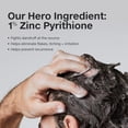 thumbnail image 4 of Paul Mitchell Dandruff Shampoo, 1% Zinc Pyrithione, Gentle Enough For Daily Use, Color Safe, For Dandruff-Prone Scalps + All Hair Types, 4 of 7