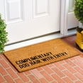 thumbnail image 2 of Callowaymills 107912436 24 x 36 in. Complimentary Dog Hair with Entry Doormat - Multi Color, 2 of 5