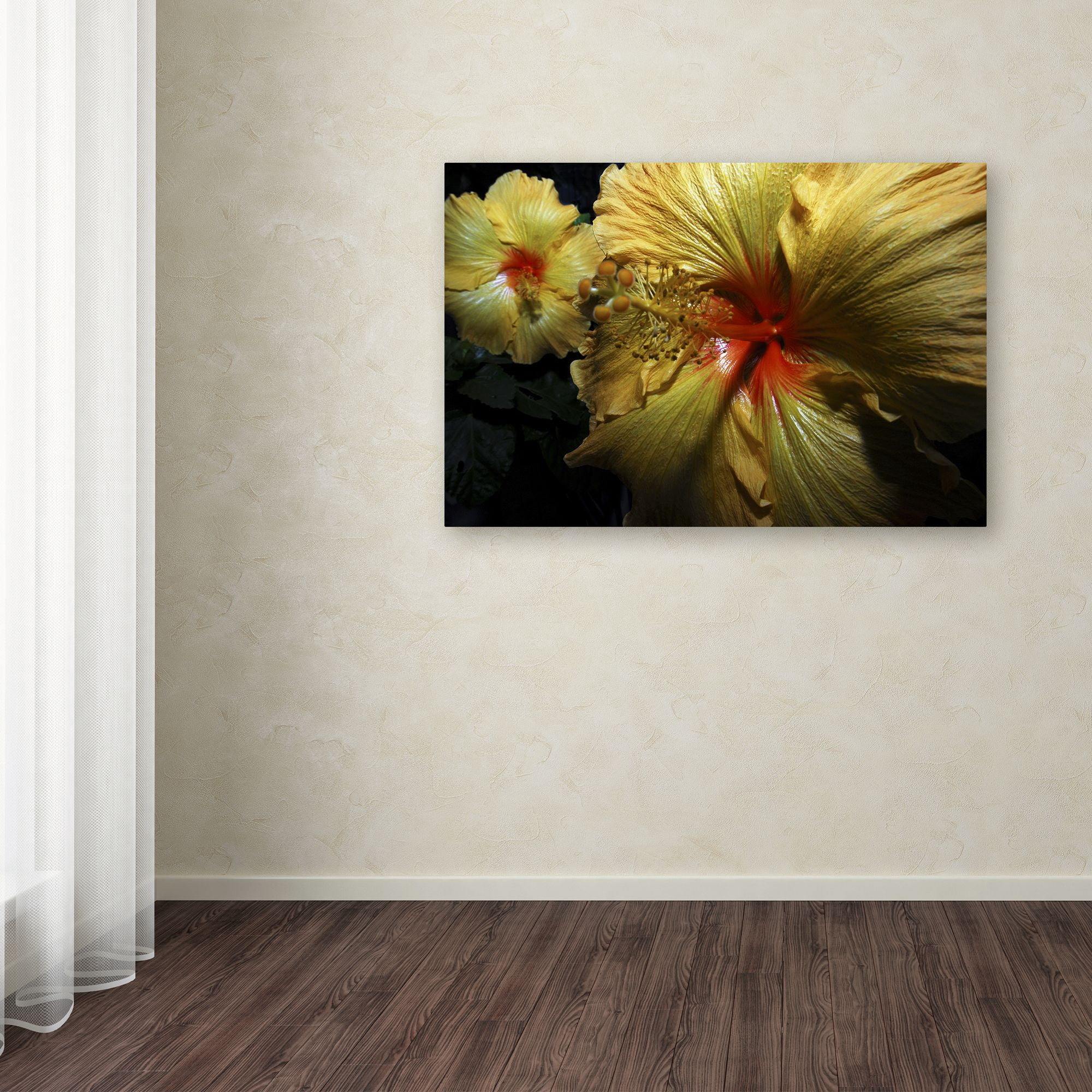 Trademark Fine Art "Sunburst Hibiscus" Canvas Art by Kurt Shaffer