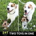 thumbnail image 2 of Juguete para perros Hyper Pet Bumpy Palz que chirría con pelota hinchable, 2 of 17