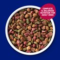 thumbnail image 3 of Kibbles 'n Bits Bistro Oven Roasted Beef, Vegetable & Apple Flavors Dry Dog Food, 45 lb. Bag, 3 of 10
