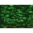 thumbnail image 1 of Ahgly Company Machine Washable Indoor Rectangle Transitional Green Area Rugs, 5' x 7', 1 of 7