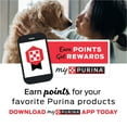 thumbnail image 4 of Purina T-Bonz Dog Treats with Filet Mignon Flavor & Real Beef Chews, 4 oz Pouch, 4 of 7