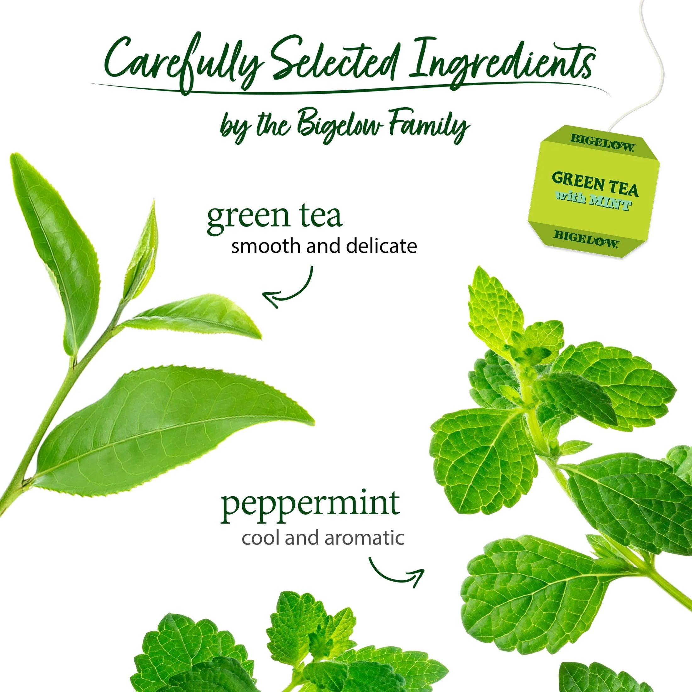 (4 pack) Bigelow Green Tea with Mint, Tea Bags, 20 Count