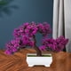 thumbnail image 4 of Árbol de Bonsái Artificial Sunnimix Decoración Hogar Jardín Oficina Púrpura Rojo, 4 of 7