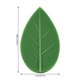 thumbnail image 5 of Inteprter 10 piezas de abrazaderas para plantas, accesorio para escalar en la pared, soportes de entrenador para interiores, accesorios organizadores de Almacenamiento y organización del hogar Inteprter HA028548-00, 5 of 6