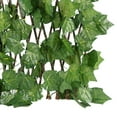 thumbnail image 4 of Langgg Clôture de Jardin Rétractable Écran de Confidentialité Extérieur Feuilles de Raisin, 4 of 9