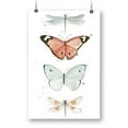 thumbnail image 1 of Summer Butterflies. Poster - Jennifer Paxton Parker Designs,, 1 of 3