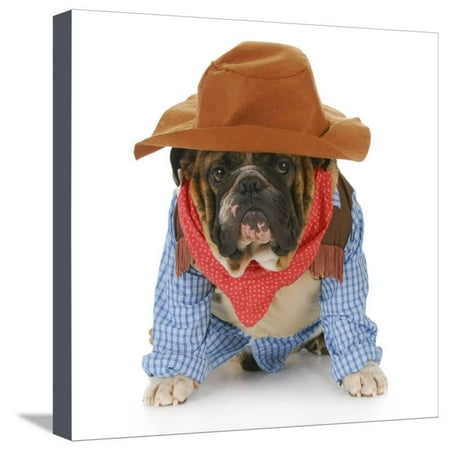 Dog Dressed Up Like a Cowboy Stretched Canvas Print Wall Art By Willee Cole