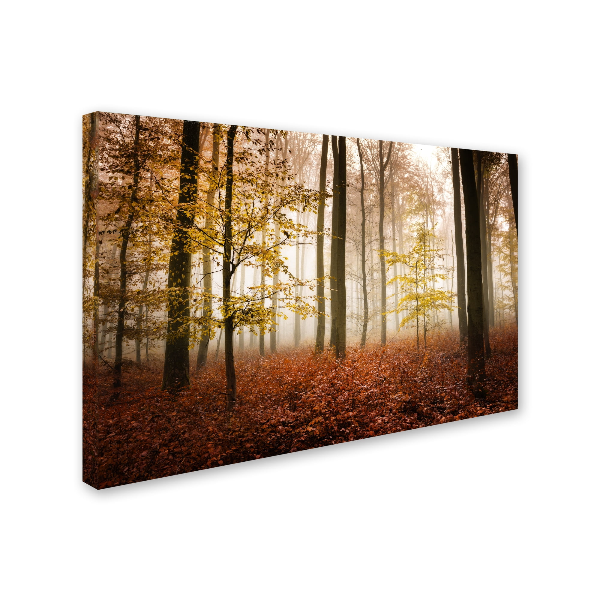 Trademark Fine Art "Calmness" Canvas Art by Philippe Sainte-Laudy