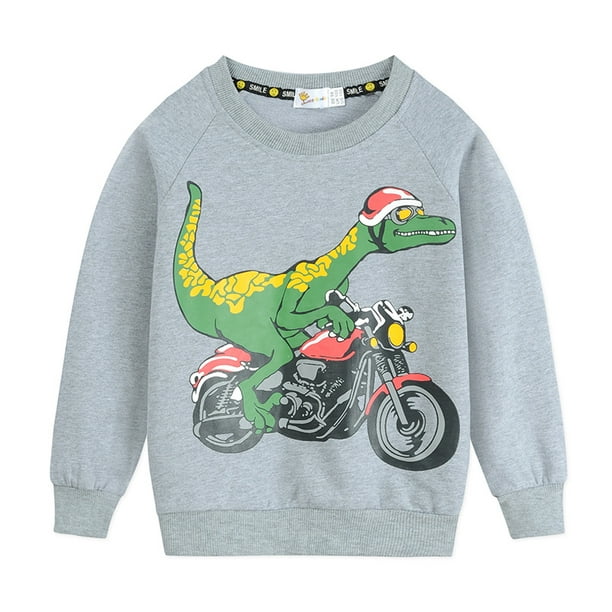 Dinosaur online sweatshirt boy