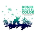 thumbnail image 1 of Donde Nace el color Textofilia Infantil 9786077818779, 1 of 2