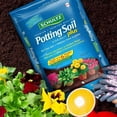 thumbnail image 4 of Schultz® Potting Soil Plus 18L, 4 of 4