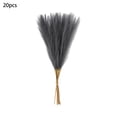 thumbnail image 2 of Fasiaou Artificial Pampas Grass Decor 20PC Realistic Fluffy Feathery Plumes for Wedding Boho Home Decor Vase Filler Long Lasting Low Maintenance, 2 of 6