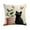 H, variant on Black Cat Pillow Covers 18x18 Inch Cute Cat Pet Animal Sun Minimalist Art Decorative Throw Pillow Covers Seasonal Holiday Farmhouse Home Sofa Living Room