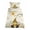 beige, variant on 4 Piece Full Sheet Set Yellow Gnomes Sheets Set for Full Size Bed, Breathable Soft Microfiber Bed Sheets Cooling Bees Spring Floral Daisy Branches Fitted Sheet Deep Pocket, Pillowcases